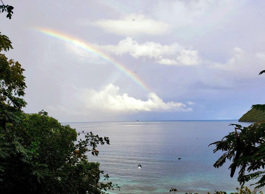Rainbow Rainbow